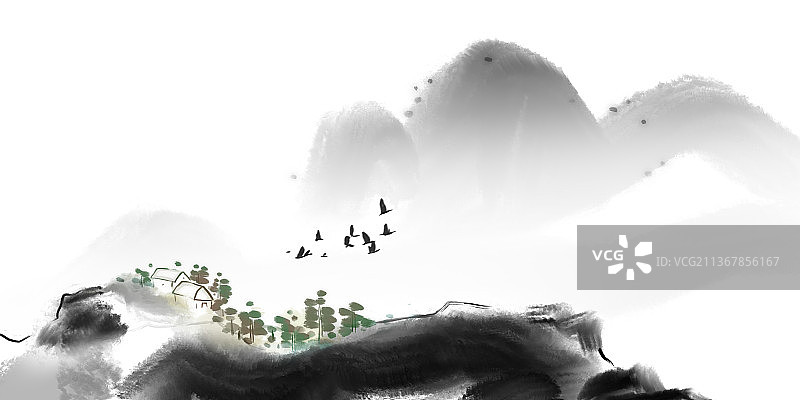 春天大雁在白色背景上的鸟的低角度视图图片素材