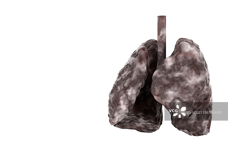 3D渲染的肺部结构图片素材