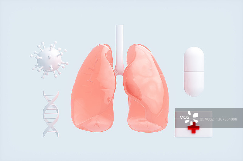 3D渲染的肺部结构图片素材