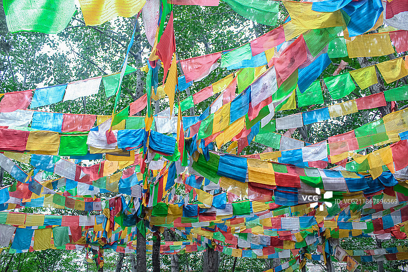 中国北京著名旅游景区龙泉寺，山林里密集的彩色经幡图片素材