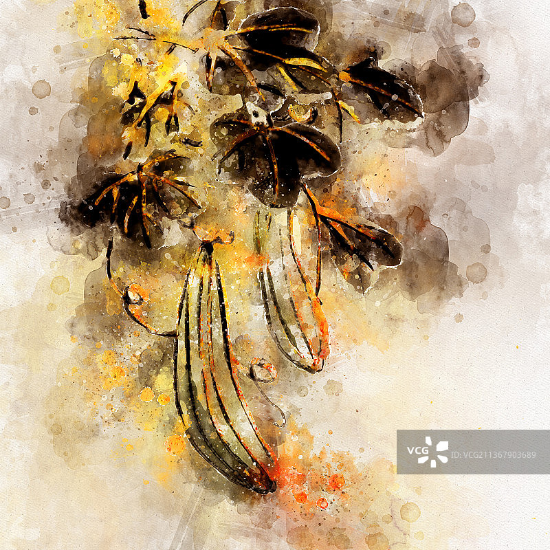 中国水墨水彩叶子花卉花草图片素材