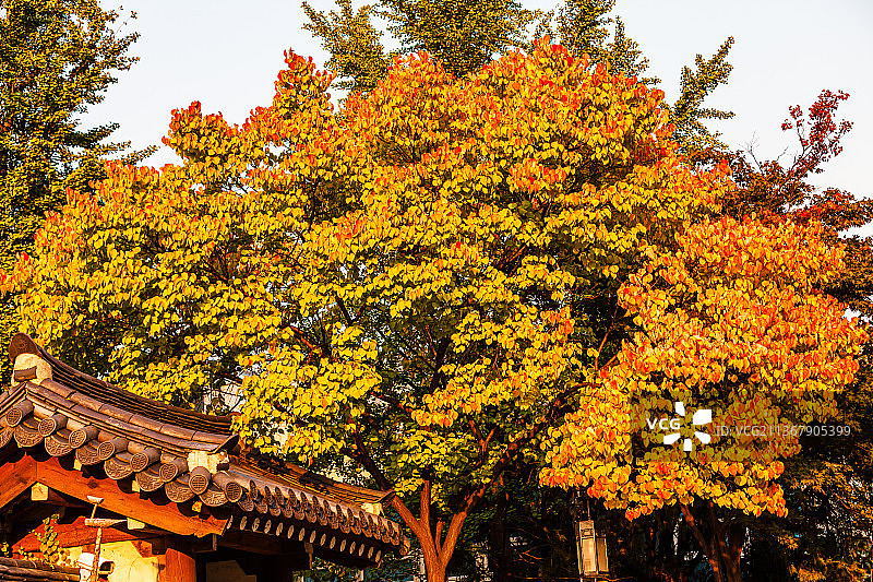 韩国首尔南山谷韩屋村图片素材
