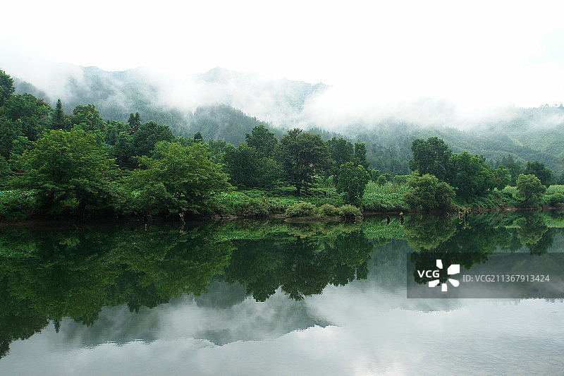 溪水河畔图片素材