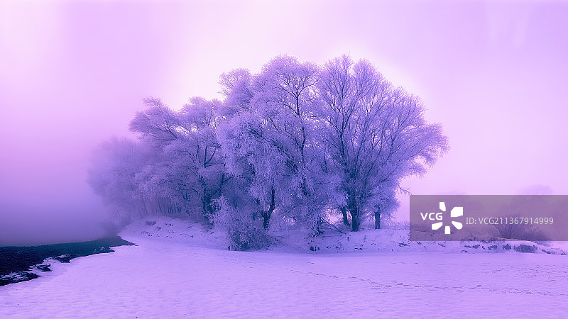 吉林省吉林市雾凇岛美景图片素材