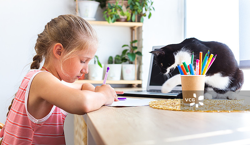 黑猫打扰女孩写作或绘画图片素材