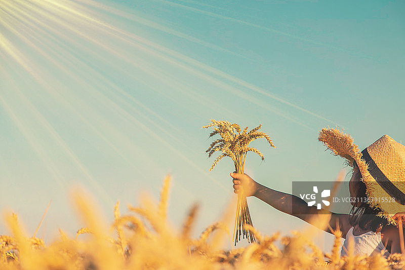 麦田里的孩子（选择性聚焦）图片素材