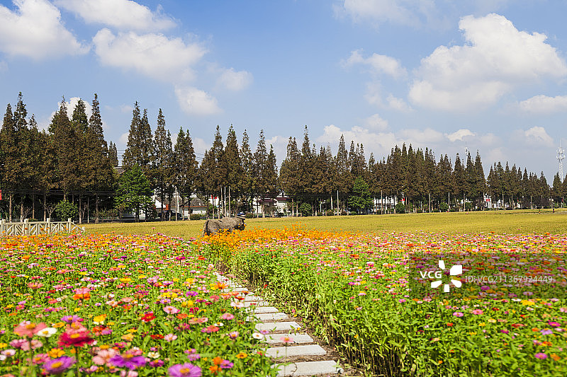 花海美景图片素材