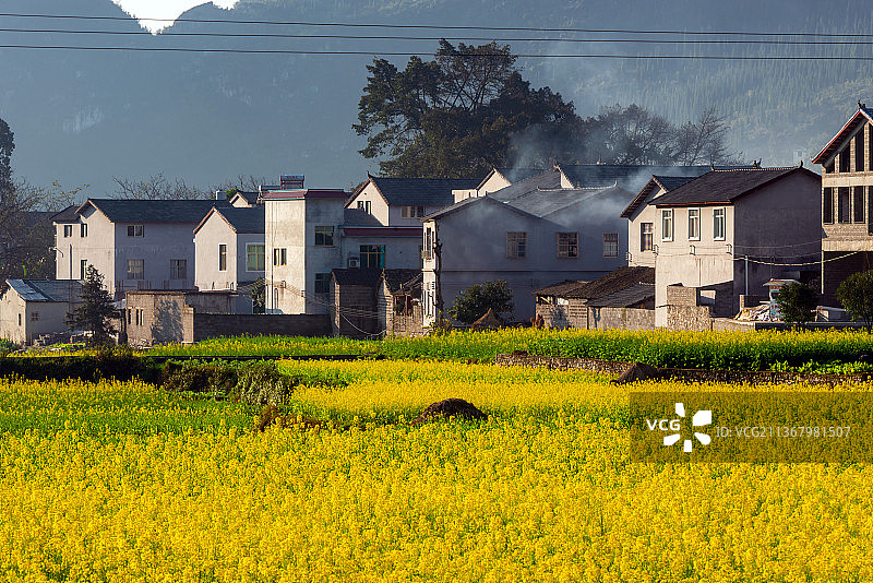 贵州黔西南州兴义万峰林田园风光图片素材