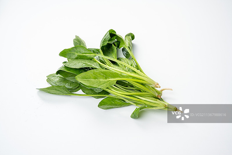 水平画幅倾斜视角拍摄白色白色背景上的新鲜菠菜图片素材