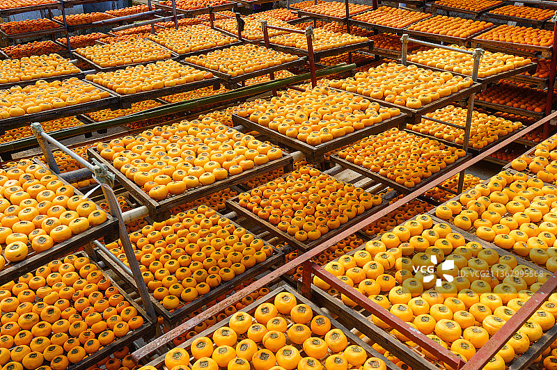 晒柿饼,柿子,水果,柿饼加工图片素材