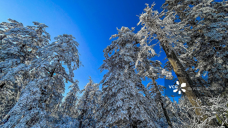 瓦屋山国家森林公园图片素材