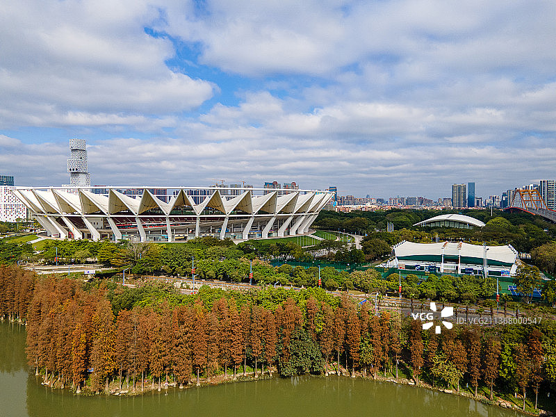 中国佛山公园秋季水杉和世纪莲体育中心图片素材