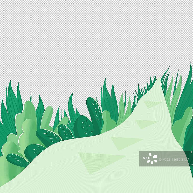 绿色草地植物丛图片素材