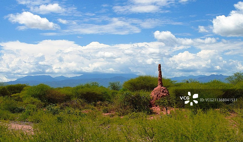 埃塞俄比亚韦托山谷的稀树草原白蚁丘风光图片素材