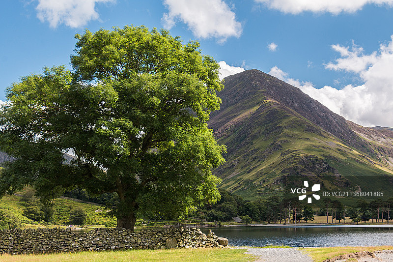 英国坎布里亚郡湖区树木风景图片素材
