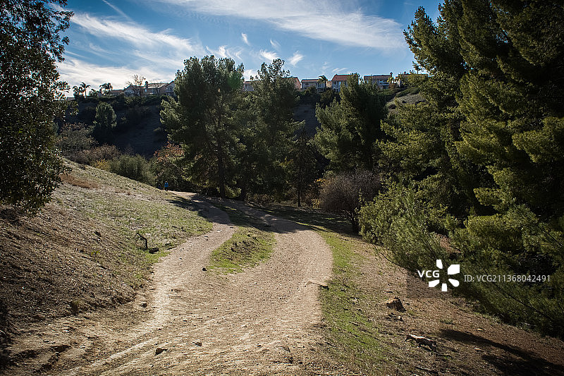 美国林间自然风光徒步小径图片素材