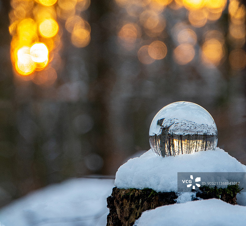 冬季树上雪景特写图片素材