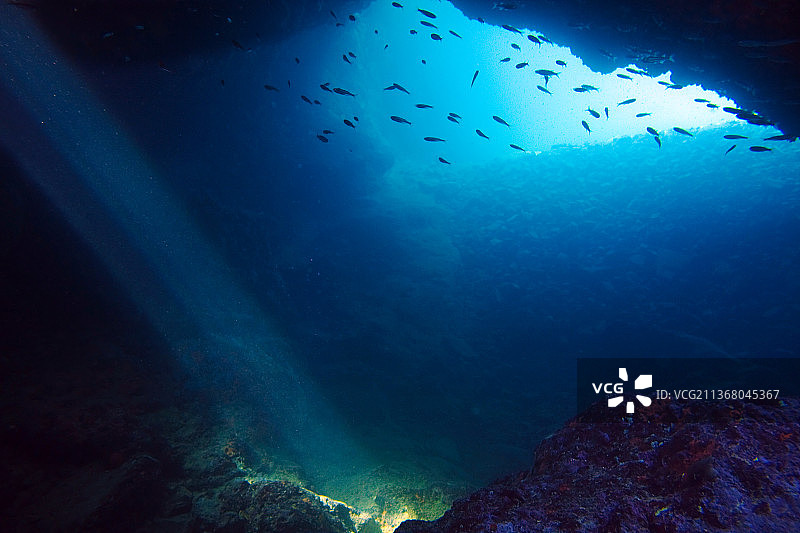 意大利普利亚海中游泳的鸟类低角度景观图片素材