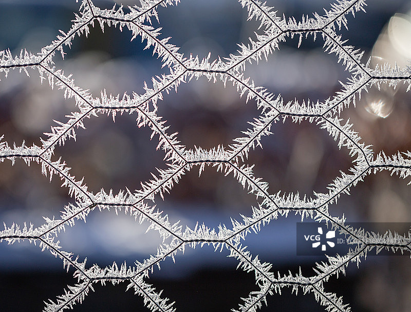 金属格栅上的霜冻图案，丹麦图片素材