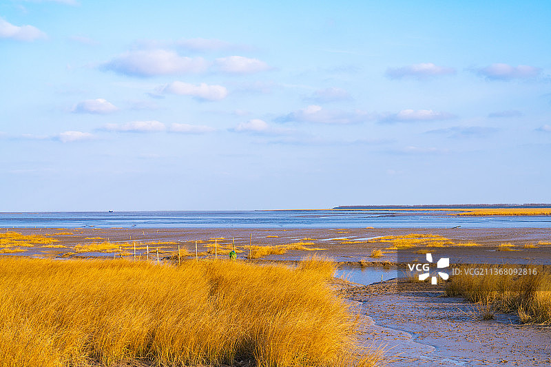 东海退潮图片素材