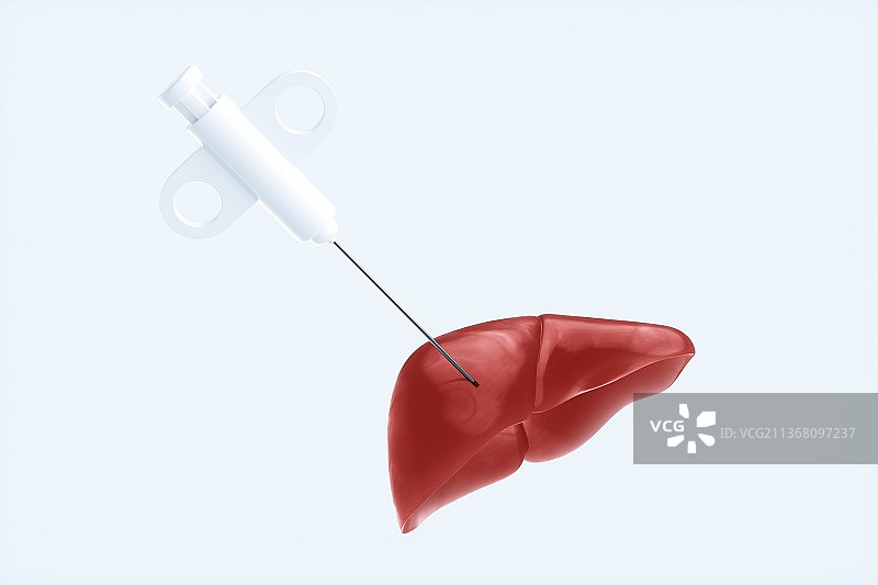 3D渲染的人体肝脏结构图片素材