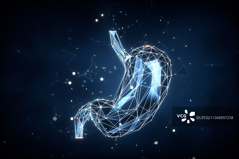 3D渲染的人体胃部结构图片素材