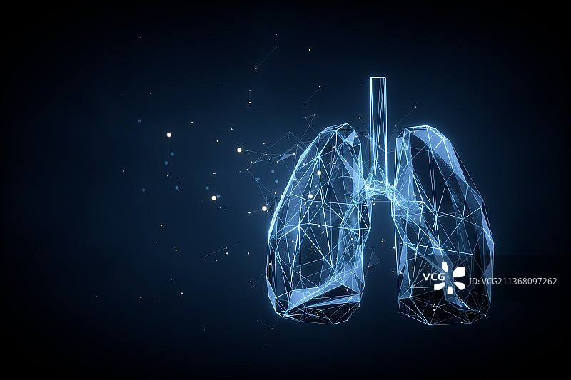 3D渲染的肺部结构图片素材