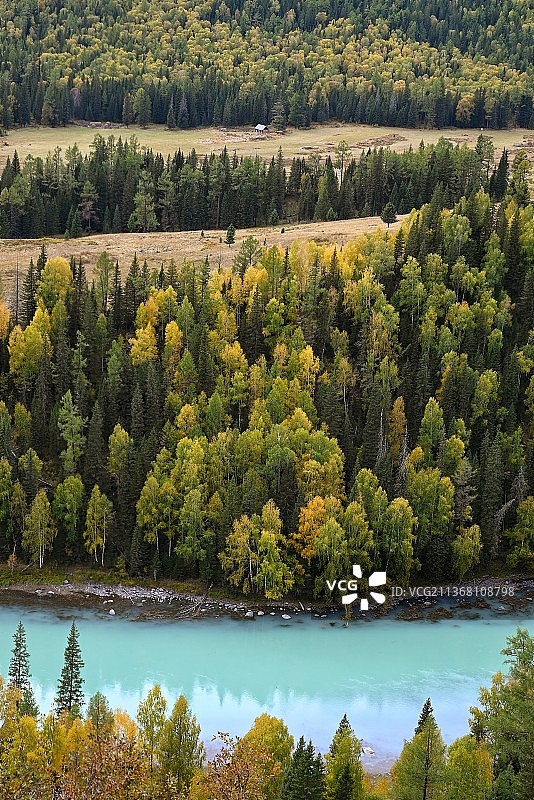 喀纳斯之月亮湾图片素材