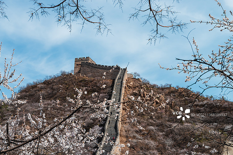 水关长城的春天图片素材