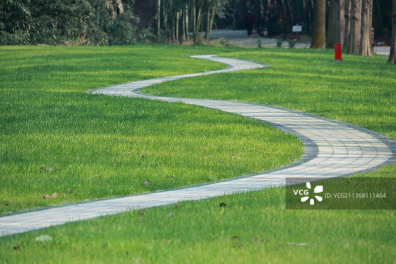 草坪与蜿蜒小路图片素材