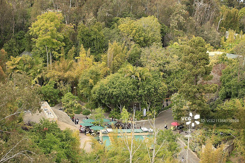 美国加州圣地亚哥动物园图片素材
