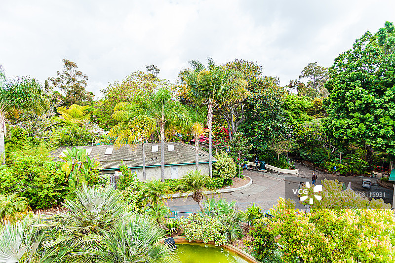 美国加州圣地亚哥动物园图片素材