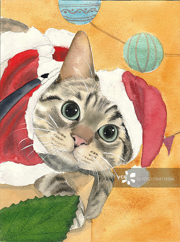 水彩画圣诞节美国短毛猫虎斑猫可爱礼物图片素材