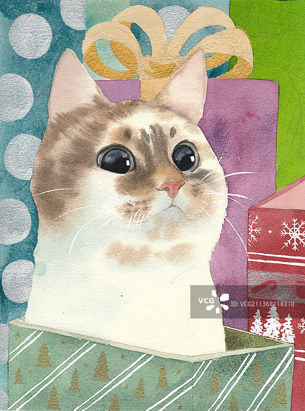 水彩画圣诞节猫咪可爱礼物盒图片素材