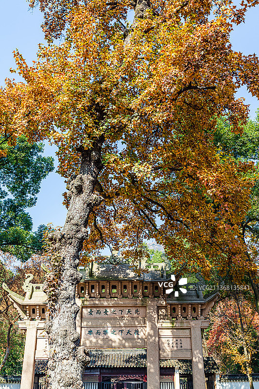 江苏苏州天平山景区图片素材
