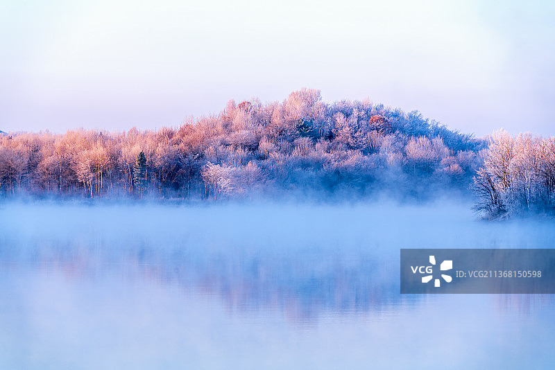 秋天湖边的树顶着天空图片素材