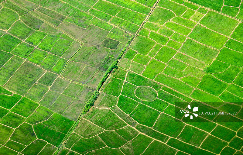农田的全画幅照片图片素材