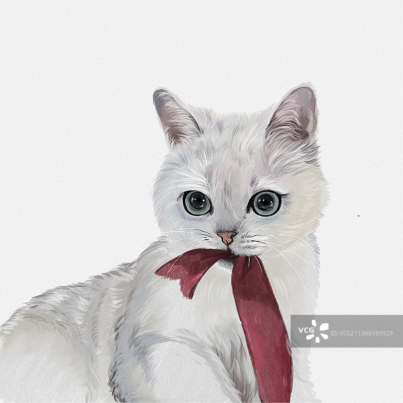 手绘写实宠物银渐层猫图片素材