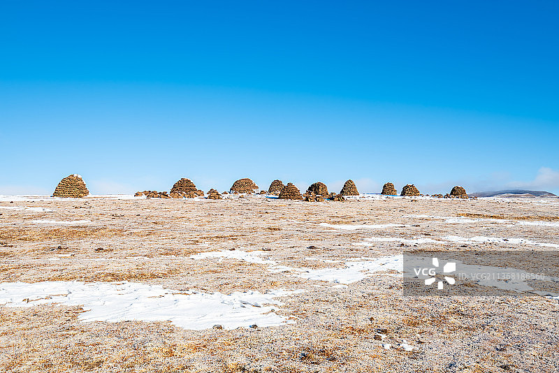冬季草原上成堆的牛粪燃料图片素材