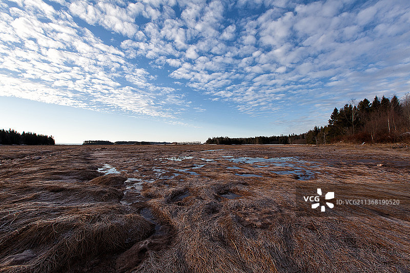 玛丽湾沼泽，哈维，新不伦瑞克，加拿大图片素材