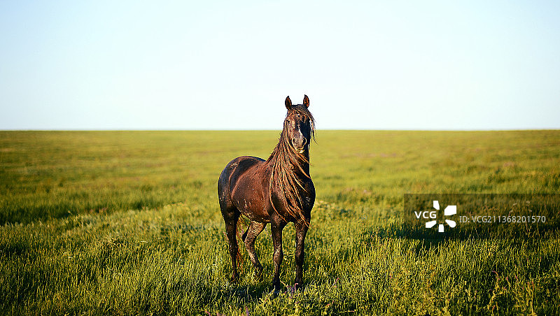 独一无二图片素材