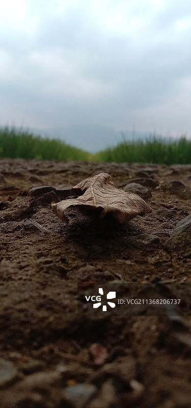 陆地对着天空的风景图片素材
