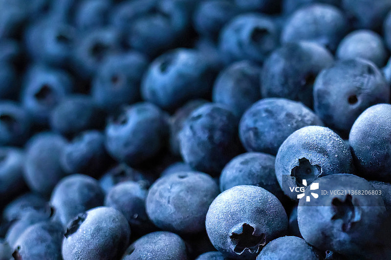 冷冻蓝莓全画幅图片素材