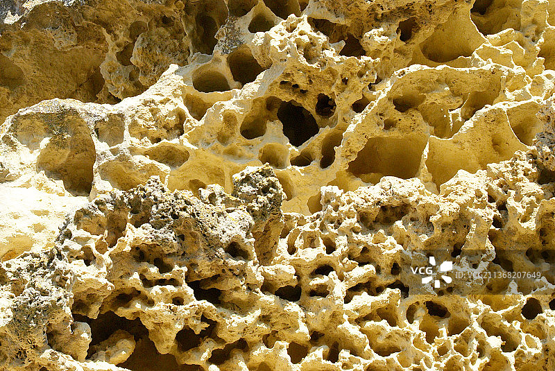 海中珊瑚砂岩纹理，全画幅拍摄图片素材