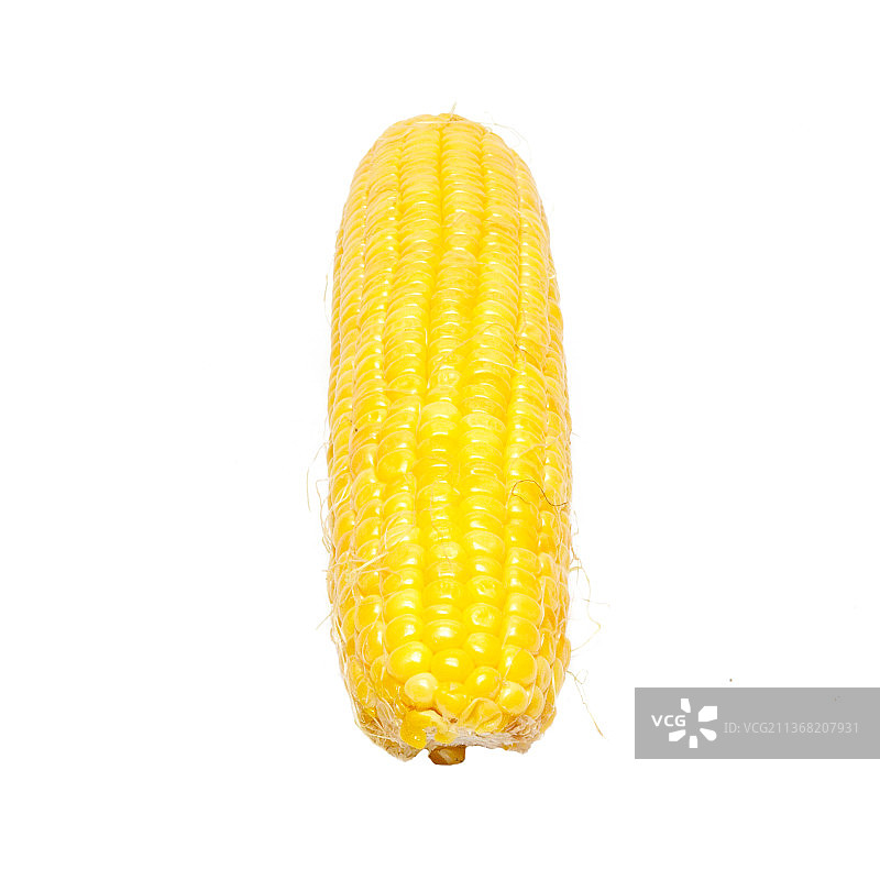 白色背景上的黄色嫩玉米图片素材