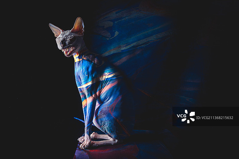 黑背景下手绘面部的女人图片素材