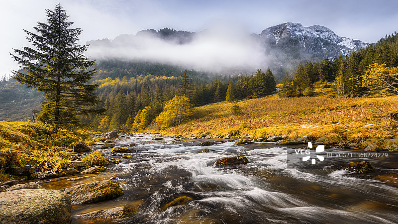 秋季森林岩石溪流的风景图片素材