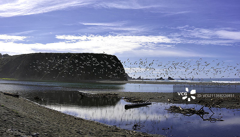 鲸鱼角活动：美国加利福尼亚州崎岖角的湖泊风景图片素材