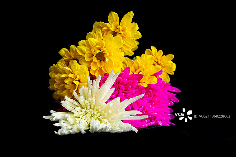 彩色花束花朵特写，黑色背景图片素材
