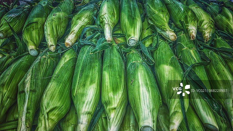 蔬菜市场摊位上的蔬菜图片素材